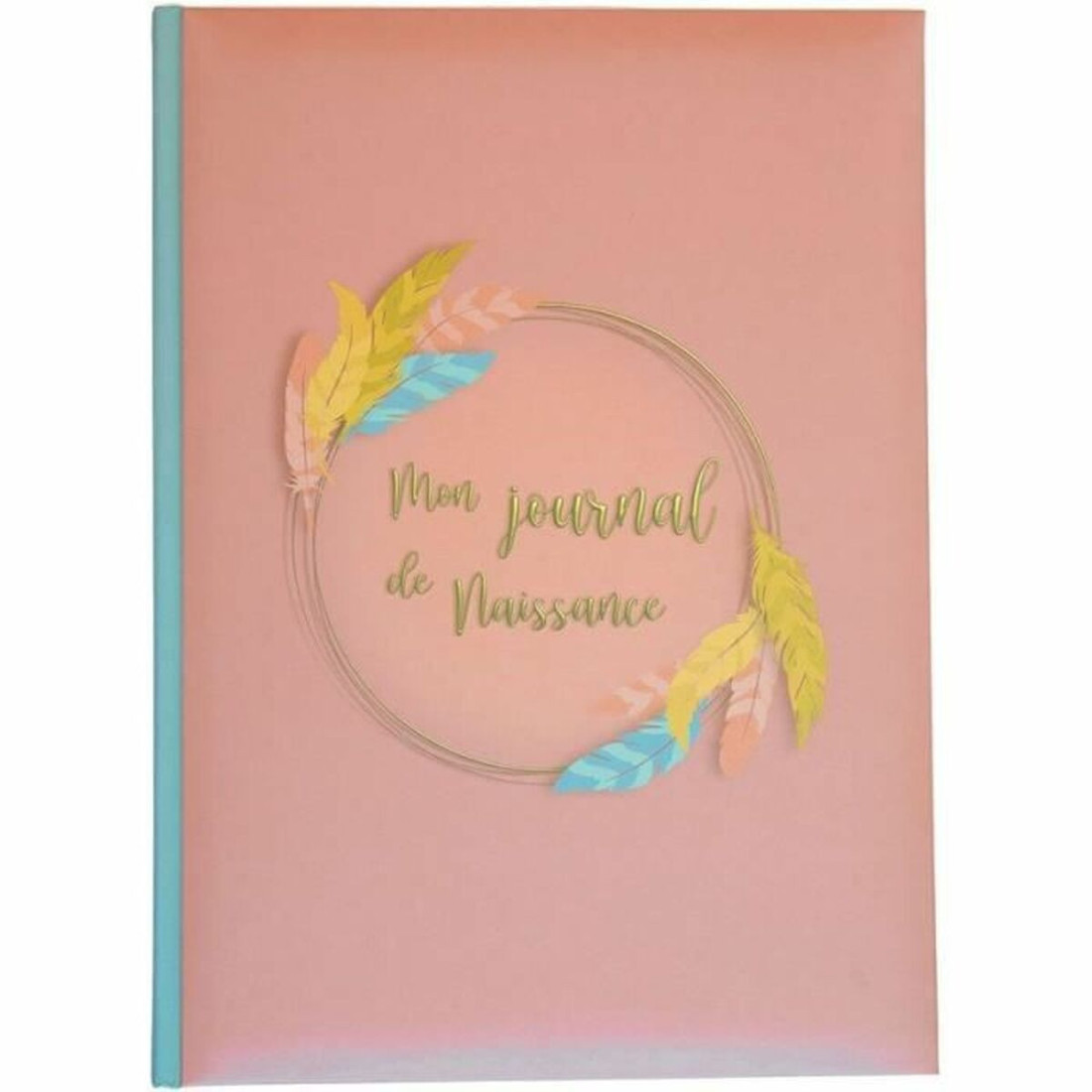 Albumas Domiva Mon Journal de Naissance