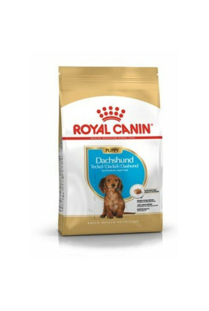 Pašarai Royal Canin Breed Dachshund Jun Vaikas / jaunėlis Daržovė 1,5 Kg