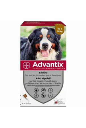 Pipetė šunims Advantix 40-60 Kg