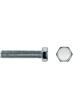 Varžtų dėžutė CELO 6 x 40 mm Metalinis varžtas 250 vnt. Cinkuotas