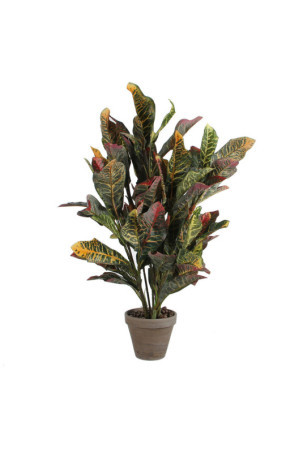 Dekoratyvinis augalas Mica Decorations Croton Žalia PVC (73 x 40 cm)