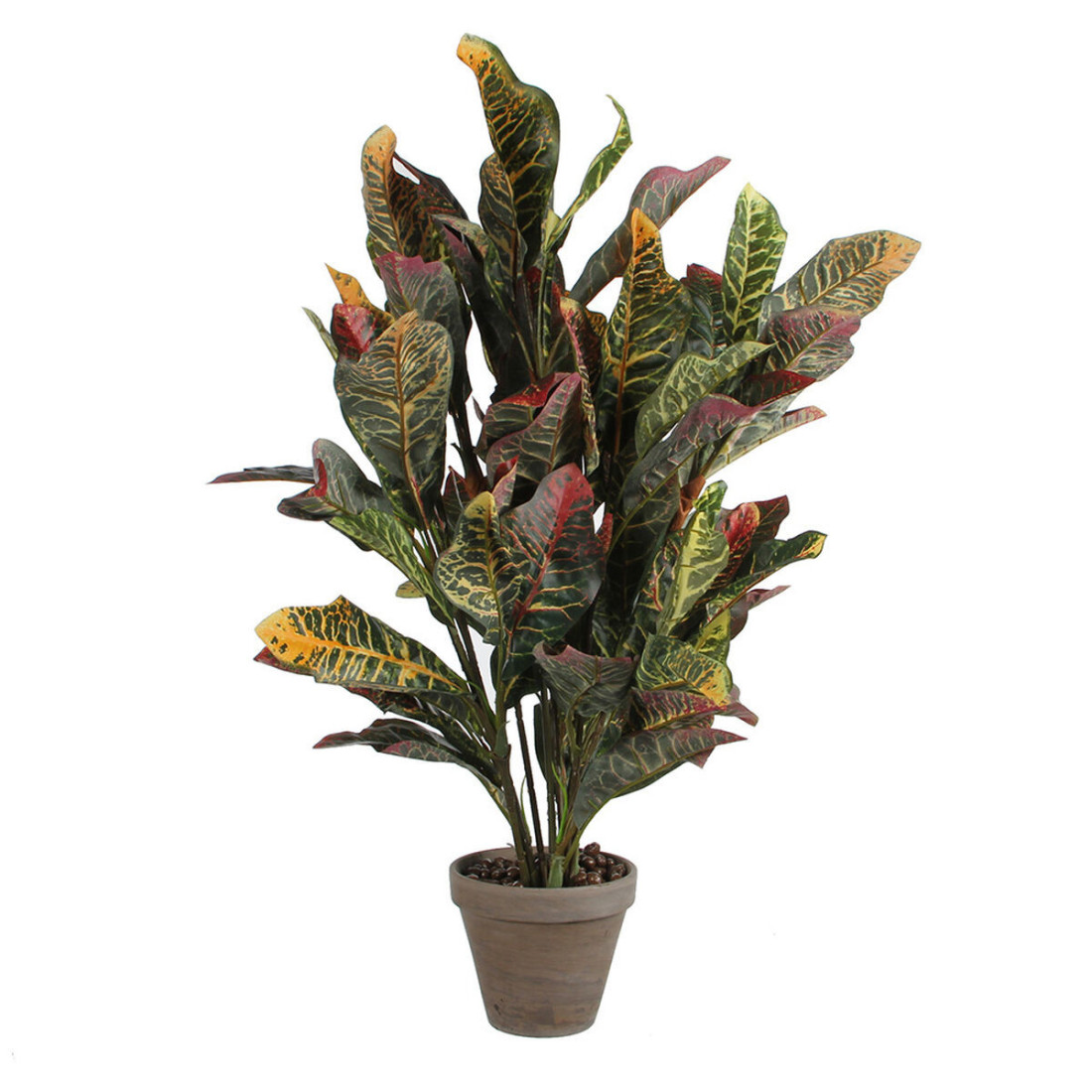 Dekoratyvinis augalas Mica Decorations Croton Žalia PVC (73 x 40 cm)