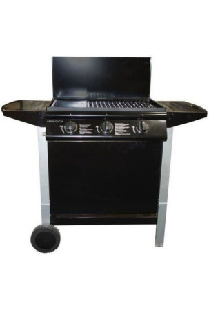 Dujinė kepsninė Grill Garden 10,5 KW (62 x 42 cm)