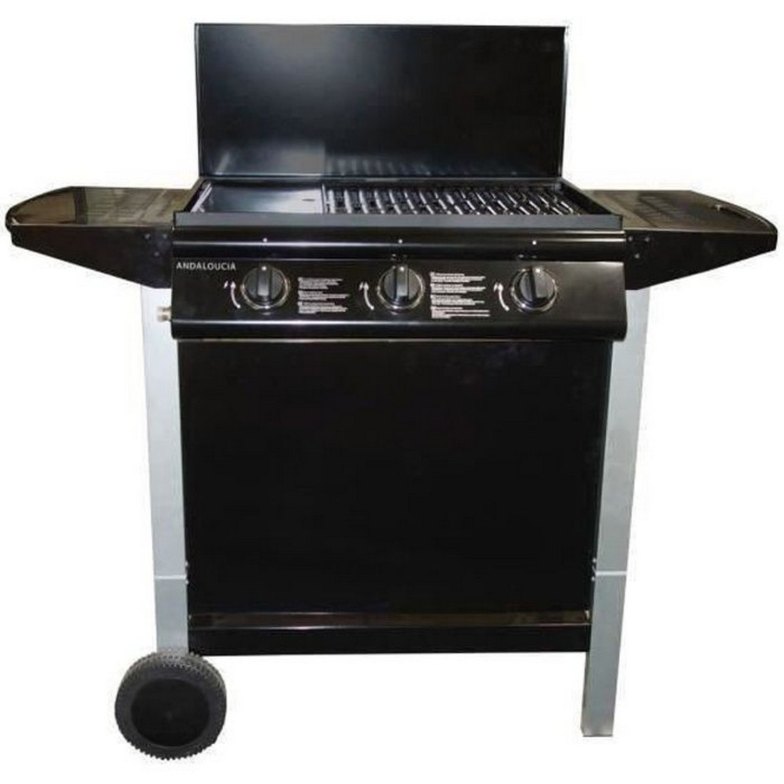 Dujinė kepsninė Grill Garden 10,5 KW (62 x 42 cm)