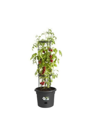 Stiklainis Elho Basics Tomato Juoda (Ø 33 cm)