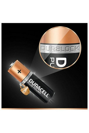 Įkroviklis + įkraunamos baterijos DURACELL CEF14 2 x AA + 2 x AAA HR06/HR03 1300 mAh (1 vnt.)