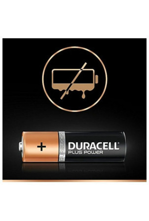 Įkroviklis + įkraunamos baterijos DURACELL CEF14 2 x AA + 2 x AAA HR06/HR03 1300 mAh (1 vnt.)