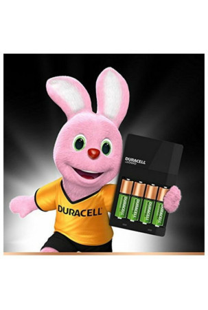 Įkroviklis + įkraunamos baterijos DURACELL CEF14 2 x AA + 2 x AAA HR06/HR03 1300 mAh (1 vnt.)