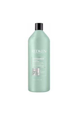 Šampūnas Redken Amino Mint 1 L