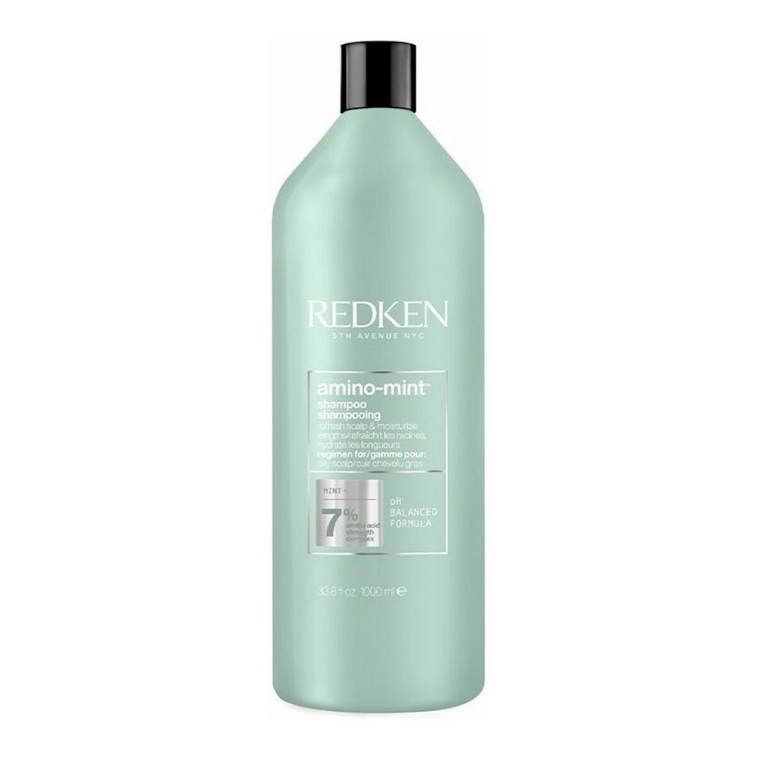 Šampūnas Redken Amino Mint 1 L