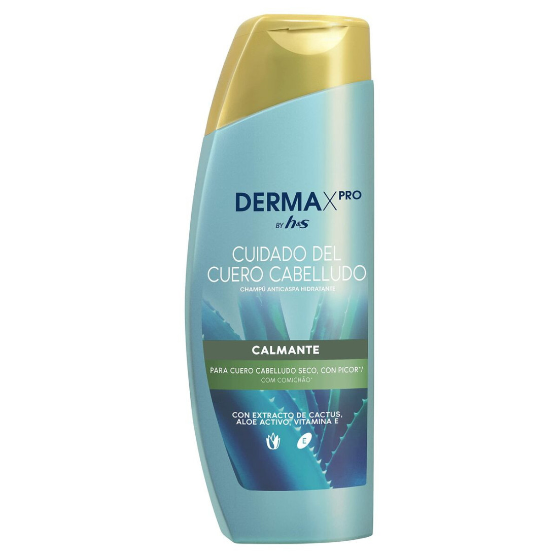 Šampūnas Head & Shoulders S Derma X Pro 300 ml