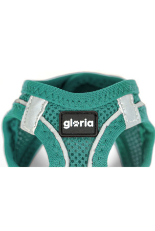 Šuns pakinktai Gloria Trek Star 24-26 cm 28-28,6 cm Turkis XXS