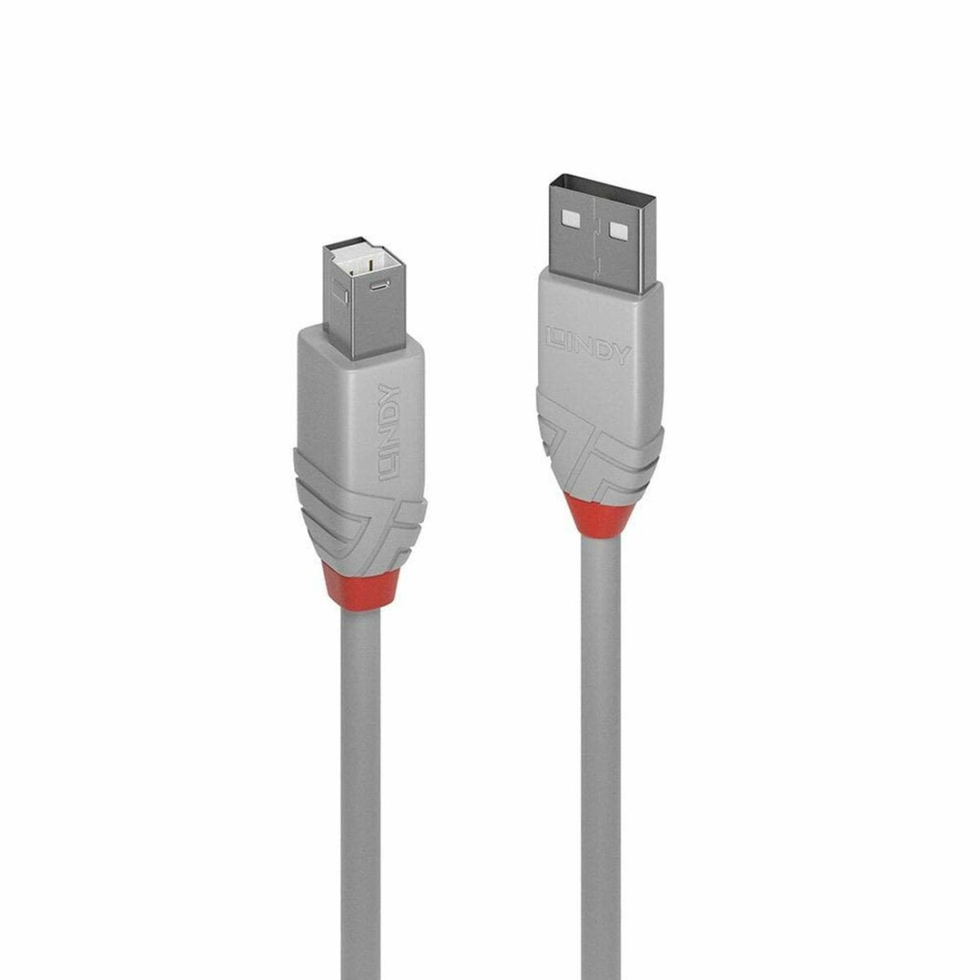 Kabelis Micro USB LINDY 36681 Juoda Pilka (1 vnt.)