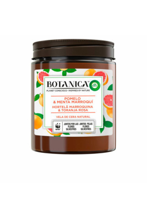 Aromatizuota žvakė Air Wick Botanica Mėtos Greipfrutas 205 g