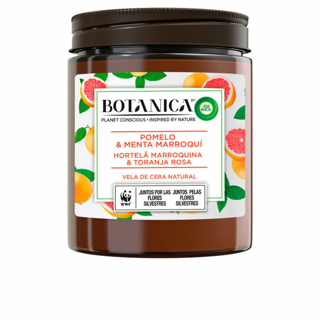 Aromatizuota žvakė Air Wick Botanica Mėtos Greipfrutas 205 g