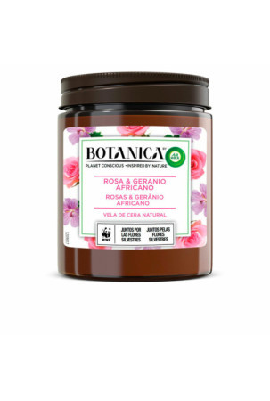 Aromatizuota žvakė Air Wick Botanica Pelargonija Rožių 205 g