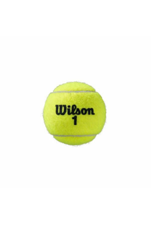 Teniso kamuoliai Wilson Roland Garros All Court Geltona