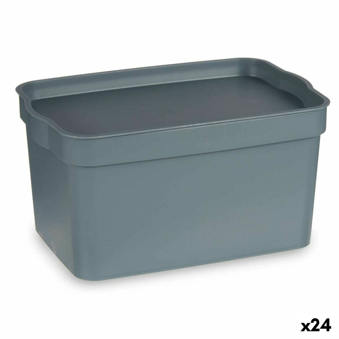 Universali dėžė Pilka Plastmasinis 2,3 L (13,5 x 11 x 20 cm) (24 vnt.)