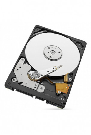 Kietasis diskas Seagate ST1000LM049 1 TB SATA6 128 MB 2,5" 1 TB HDD